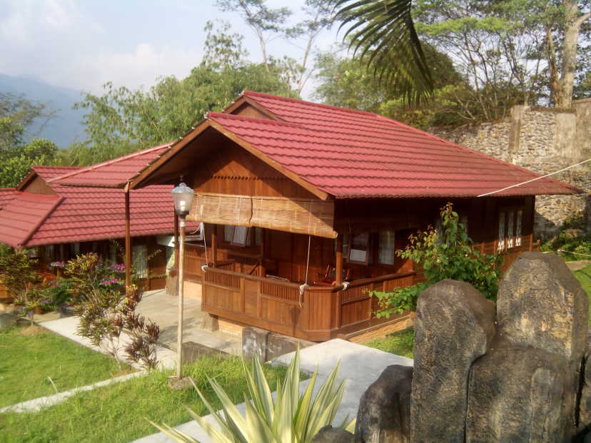 Side-view of wooden house and the surrounding garden