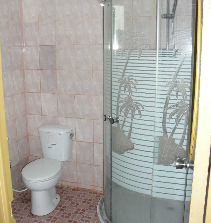 Kamar mandi hotel dengan toilet keramik dan bilik pancuran dengan pola pohon kelapa